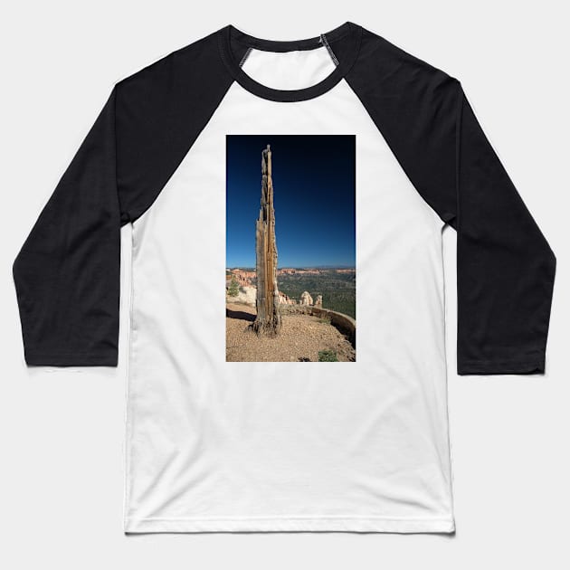 Tree In Bryce Canyon Baseball T-Shirt by KWAPhoto